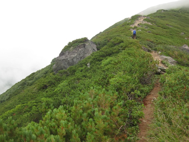富士山M30号大判90✖️60白富士神々しく荘厳な迫力金運勝負師L.hisert Mt.富士HC 主催者選抜クラス 男子は金子宗平が独走勝利 女子は